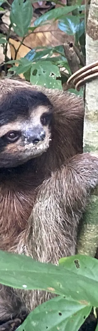 Viel näher geht nicht!